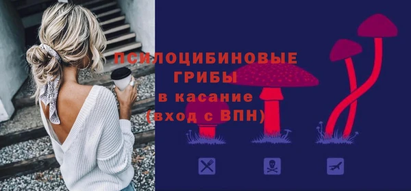 сатива Осинники