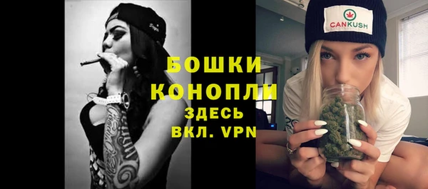 сатива Осинники