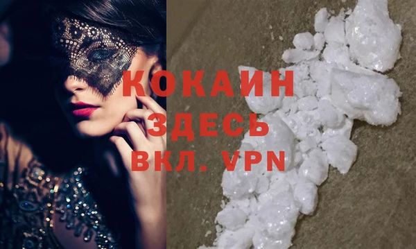 сатива Осинники