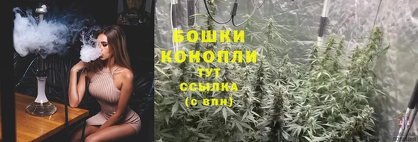 a pvp Пересвет