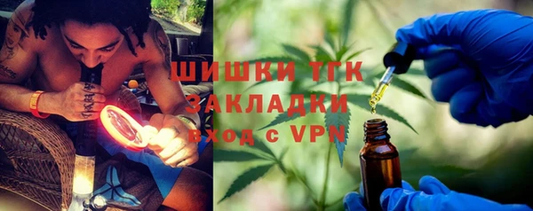 сатива Осинники