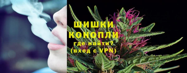 амф Пестово