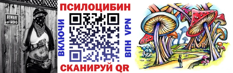 Псилоцибиновые грибы Psilocybine cubensis  Уяр 